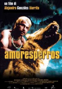 Amores perros