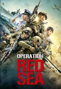 Operation Red Sea