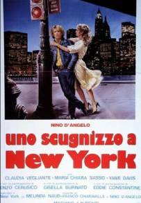 Uno scugnizzo a New York