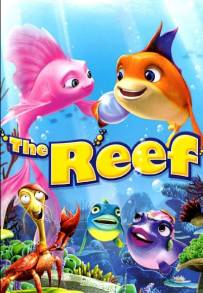 The Reef - Amici per le pinne