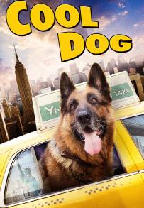 Cool Dog - Rin Tin Tin a New York