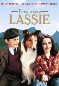 Torna a casa Lassie!