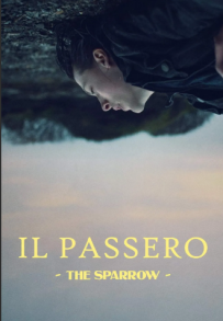 Il passero - The Sparrow