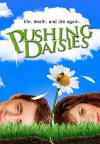 Pushing Daisies